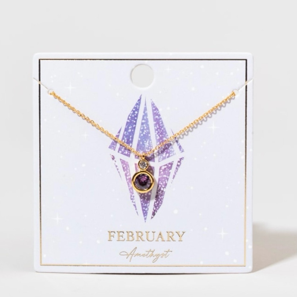 Francesca’s Serena Bezel Birthstone Pendant Boxed Necklace | Amethyst